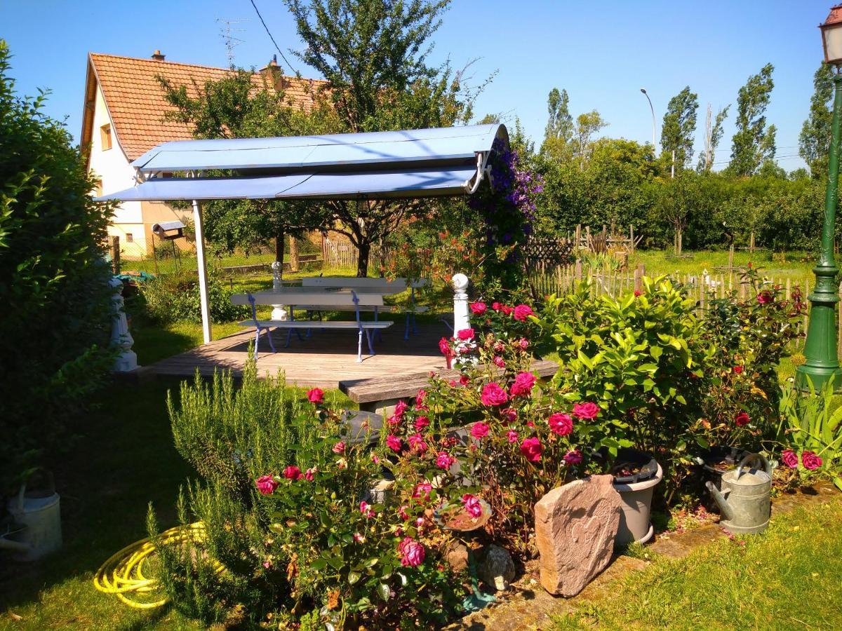 Le Pelican Wittenheim Exterior photo
